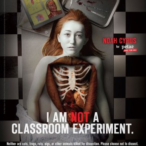 Miley Cyrus’ 15-Year-Old Sister Noah Poses for Gruesome New PETA Ad: See the Shocking Pic!